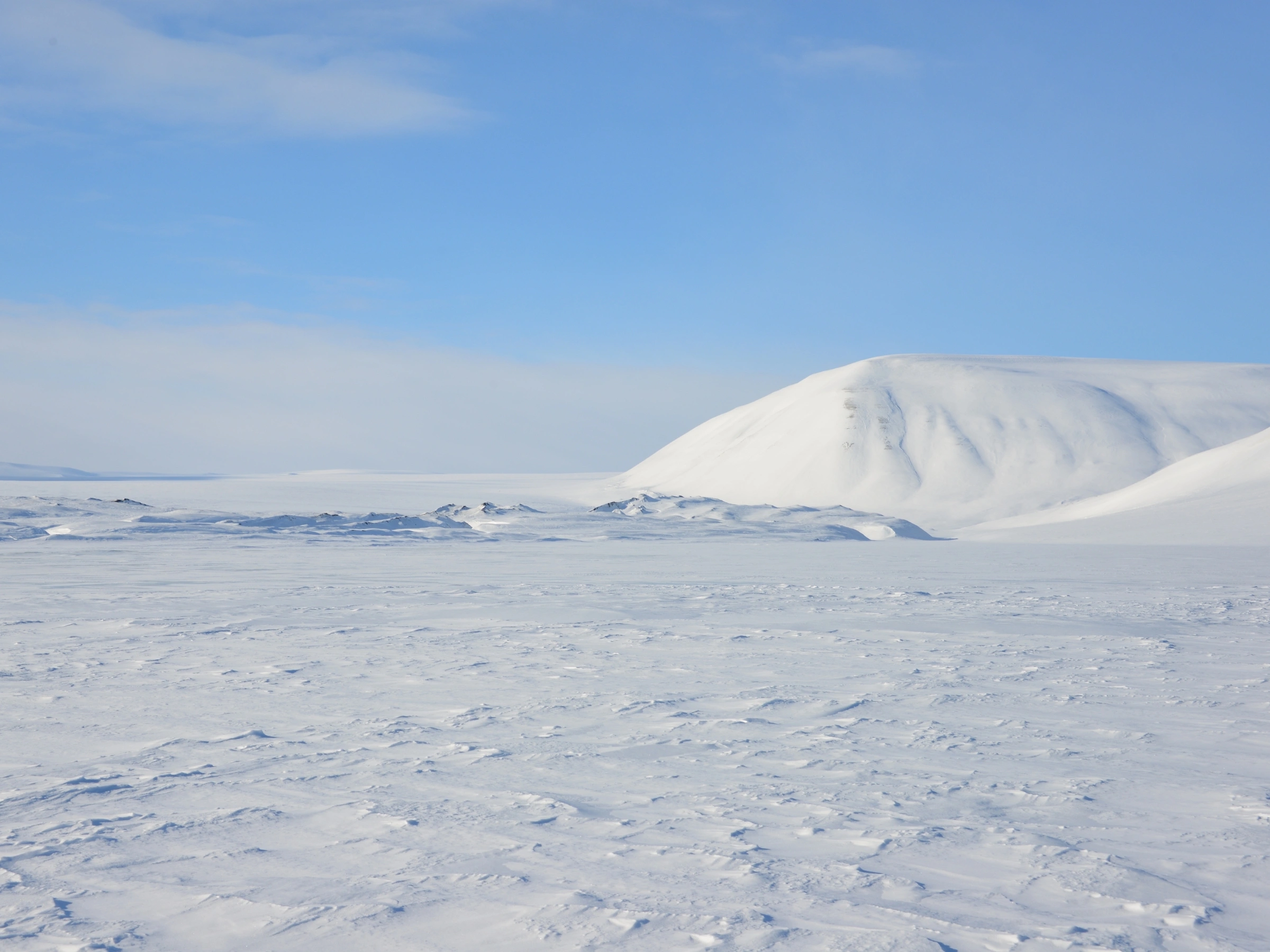 Photo d'un paysage arctique avec une colline en arrière-plan.